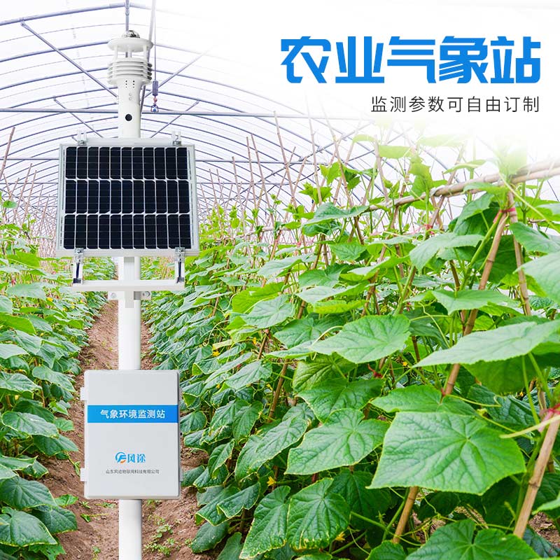 溫室栽培花卉，用農業(yè)氣象站調控小氣候